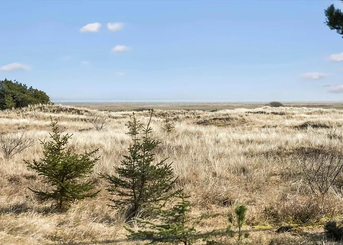 2261-ringkobing-klitsvinget-36 Сasa de vacaciones